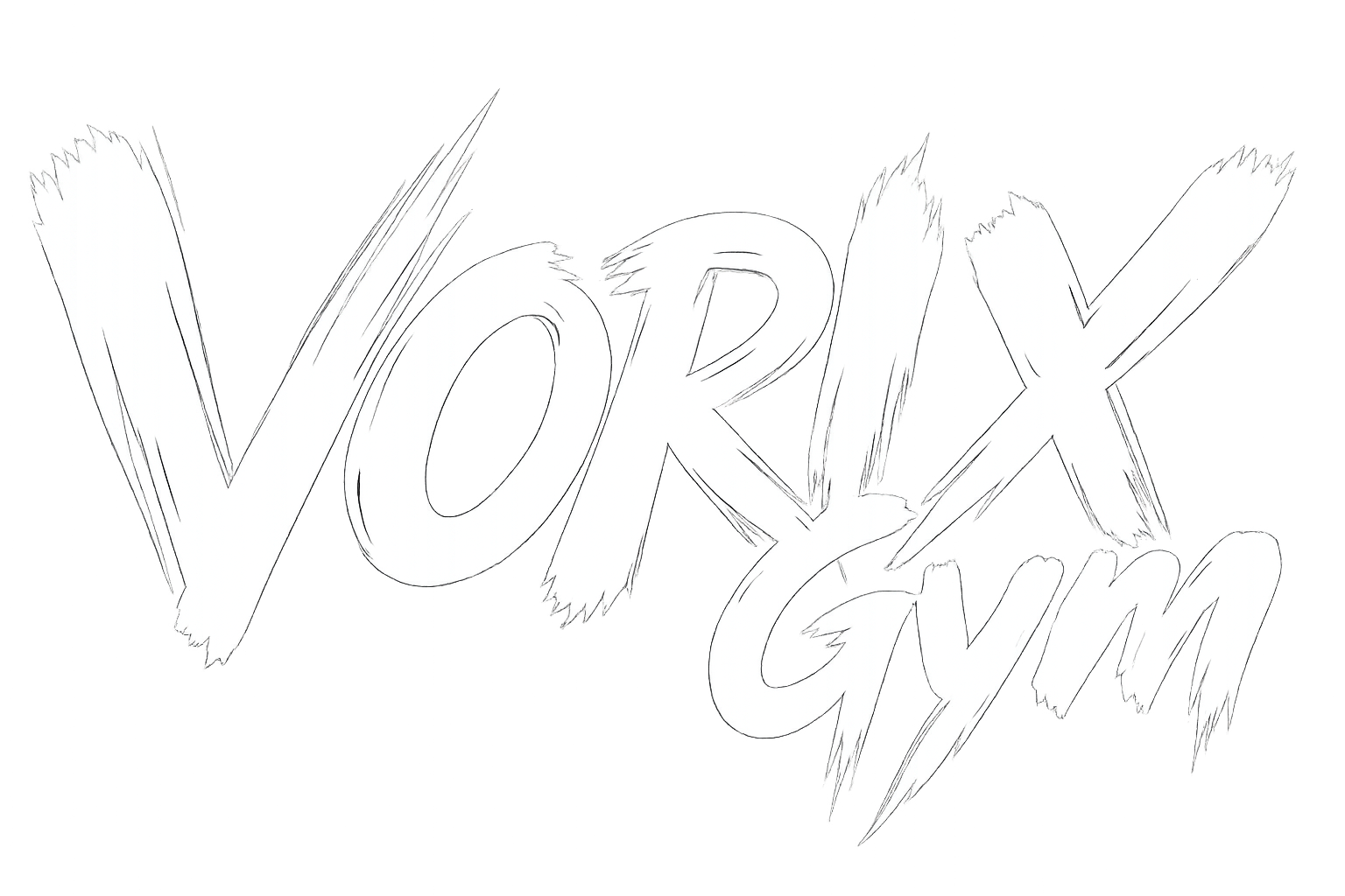 Vorix Gym